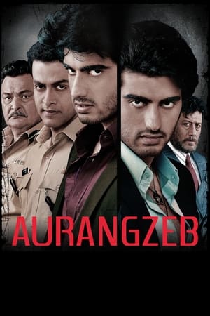 Aurangzeb (2013) Movie | Hindi Full Movie HDRip – [370MB]