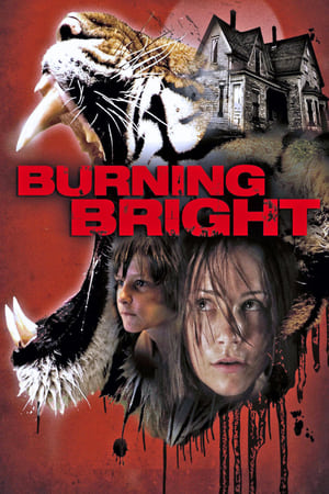 Burning Bright (2010) Dual Audio | Hindi Full Movie BluRay 300MB