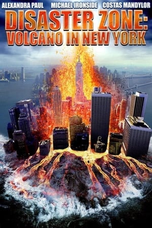 Disaster Zone Volcano in New York 2006 Dual Audio | Hindi Full Movie HDRip 300MB