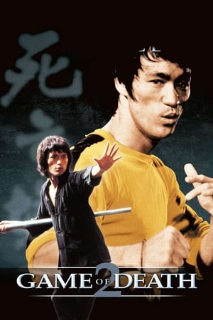 Game of Death II (1981) Dual Audio | Hindi Full Movie BluRay 300MB