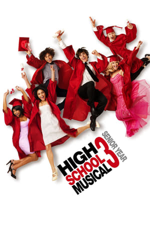 High School Musical 3 (2008) Dual Audio | Hindi Full Movie BluRay [950MB]