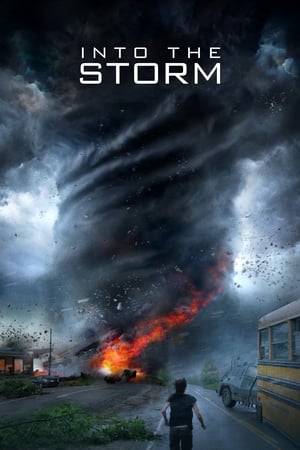 Into the Storm (2014) Dual Audio | Hindi Full Movie BluRay [1GB]