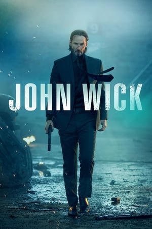 John Wick (2014) Dual Audio | Hindi Full Movie BluRay 300MB ESubs