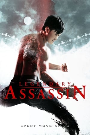 Legendary Assassin (2008) Dual Audio | Hindi Full Movie BluRay 300MB
