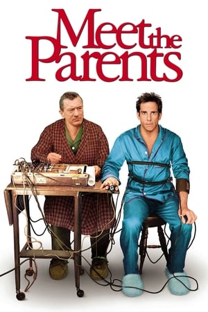 Meet the Parents 2000 Dual Audio | Hindi Full Movie BluRay [930MB]