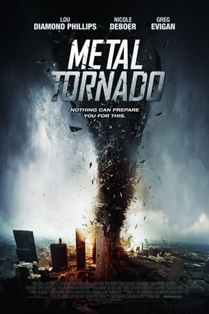 Metal Tornado 2011 Dual Audio | Hindi Full Movie BluRay [1GB]