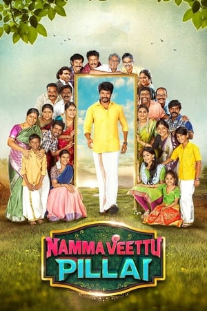 Namma Veettu Pillai (2019) ( – Tamil) Dual Audio | Hindi Full Movie UnCut HDRip 450MB