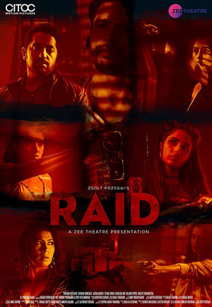 Raid 2019 Movie | Hindi Full Movie HDRip x264 [650MB]