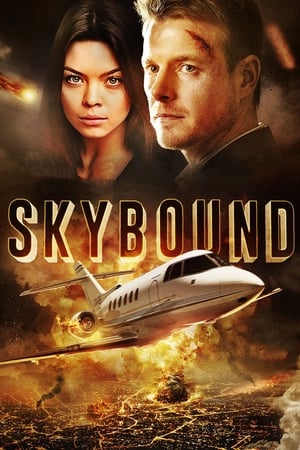 Skybound (2017) Dual Audio | Hindi Full Movie BluRay 350MB