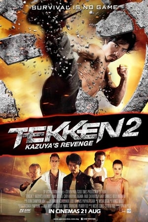 Tekken Kazuyas Revenge 2014 Dual Audio | Hindi Full Movie BluRay 300MB
