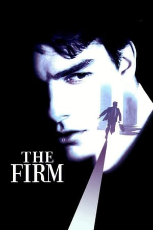 The Firm (1993) Dual Audio | Hindi Full Movie BluRay [980MB]