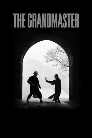 The Grandmaster (2013) Dual Audio | Hindi Full Movie BluRay 350MB ESubs