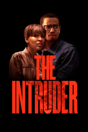 The Intruder (2019) Dual Audio | Hindi Full Movie HDRip [1GB]