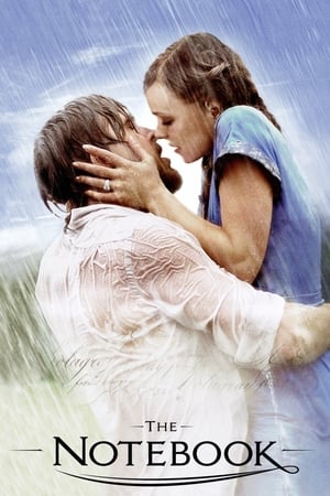 The Notebook 2004 Dual Audio Full Movie | Hindi Full Movie BRRip - 1GB