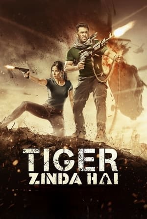 Tiger Zinda Hai 2017 490MB Movie | Hindi Full Movie BluRay Download