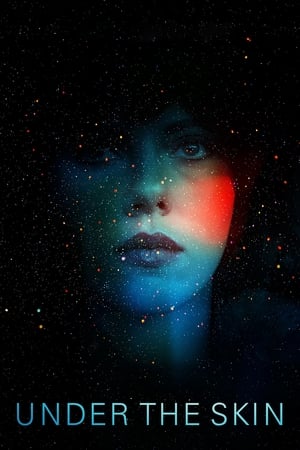 Under the Skin 2013 Dual Audio | Hindi Full Movie BluRay 350MB