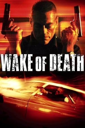 Wake of Death 2004 Dual Audio | Hindi Full Movie BluRay [1GB]