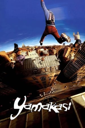 Yamakasi 2001 Dual Audio | Hindi Full Movie BluRay [980MB]