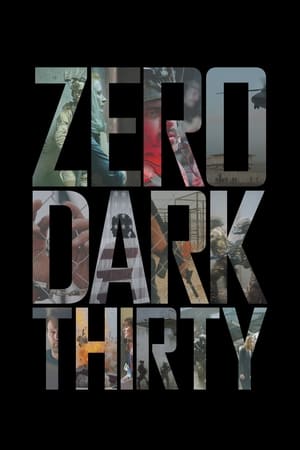 Zero Dark Thirty 2012 Dual Audio | Hindi Full Movie BluRay [1.2GB]