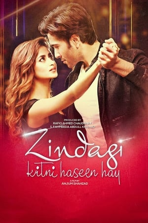 Zindagi Kitni Haseen Hay (2016) Pakistani Movie | Hindi Full Movie HDRip x264 [980MB]